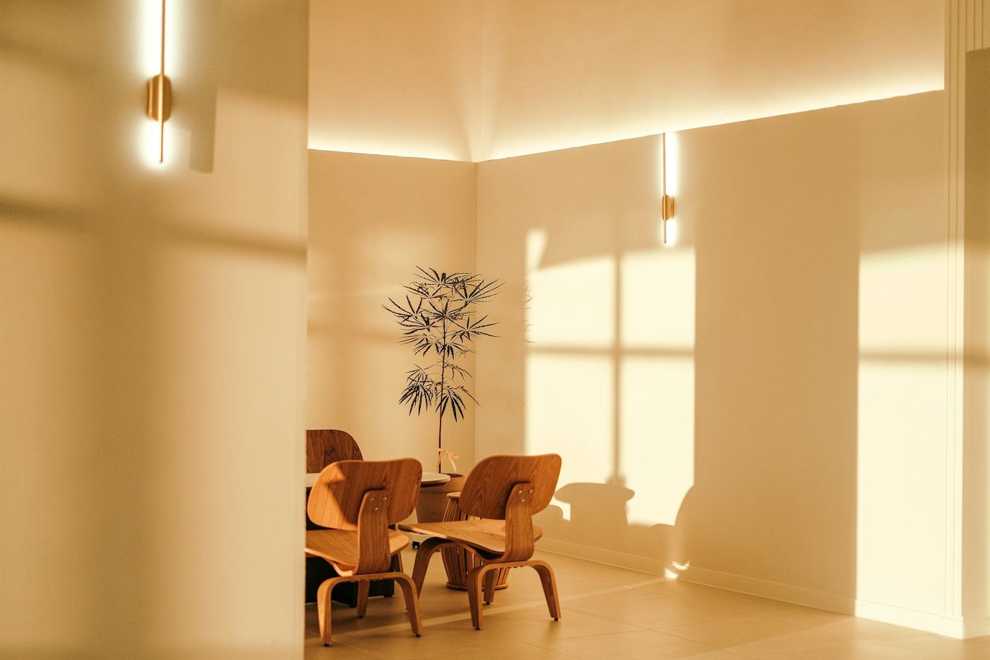 Éclairage indirect et assises, Espace d'accueil